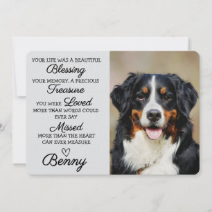 Pet Sympathy Personalized Photo Pet Loss Card