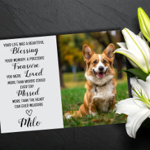 Pet Sympathy Personalized Photo Pet Loss Card