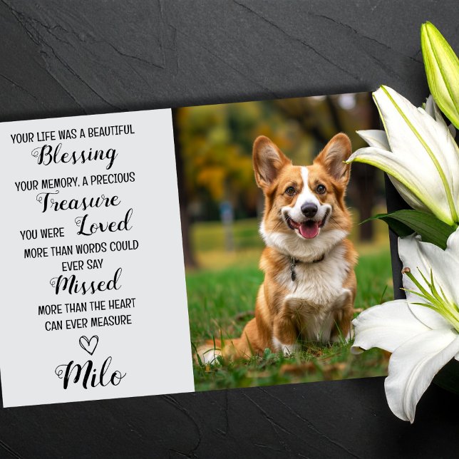 Pet Sympathy Personalized Photo Pet Loss Card (Pet Sympathy Cards)