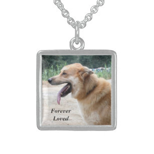 necklace with pets picture