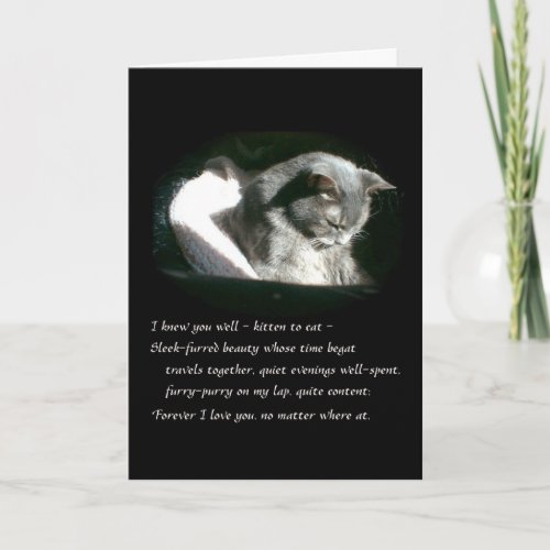 Pet Sympathy Sad Gray Kitty Cat _ Cassie Card