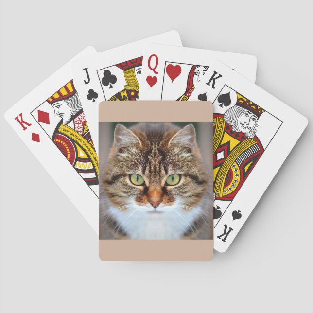 Pet Tabby Cat Poker Cards (Back)