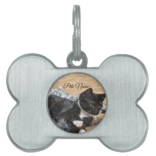 Pet Tag