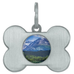 Pet Tag