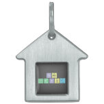 Team
 Yabut  Pet Tags