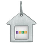 Linus  Pet Tags