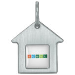 Branding  Pet Tags