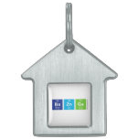 BaZnGa  Pet Tags