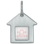 we 
 are the
 best 
 solution  Pet Tags