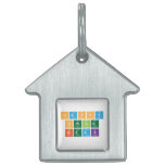 Happy
 Spring
 Break  Pet Tags