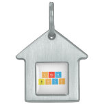 Chem
 Boys  Pet Tags