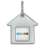 Airport  Pet Tags