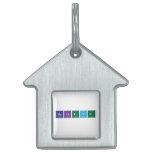 Believe   Pet Tags