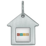 Mario  Pet Tags