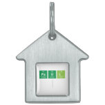 PAUL
   Pet Tags
