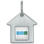 autism  Pet Tags