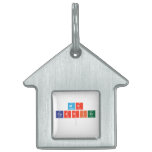 Mr
 Carrier
   Pet Tags