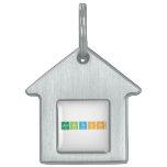 AMBITION  Pet Tags