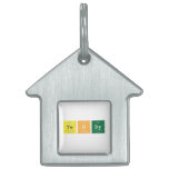 teody  Pet Tags