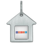 Beatriz  Pet Tags