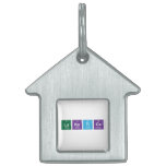 Lunatics  Pet Tags