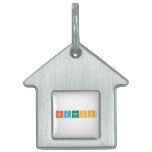 BRANDON  Pet Tags