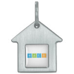 waldo  Pet Tags