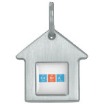 Cobra  Pet Tags