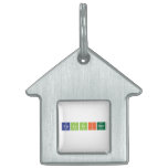 Calvinism  Pet Tags