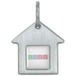 mason  Pet Tags