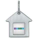NADEEM  Pet Tags