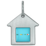 how old am i?  Pet Tags
