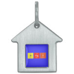 Bogi  Pet Tags