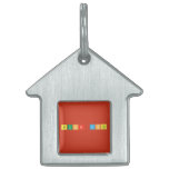 Buone Feste  Pet Tags