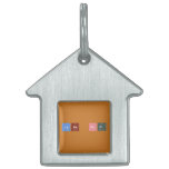 CARE BIG  Pet Tags