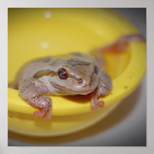 Pet Tree Frog Print