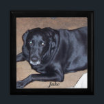 Pet Urn Jewelry Box<br><div class="desc">Pet Memorial Urn</div>