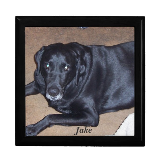 Pet Urn Jewelry Box (Front)