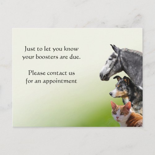Pet vaccination booster reminder postcard