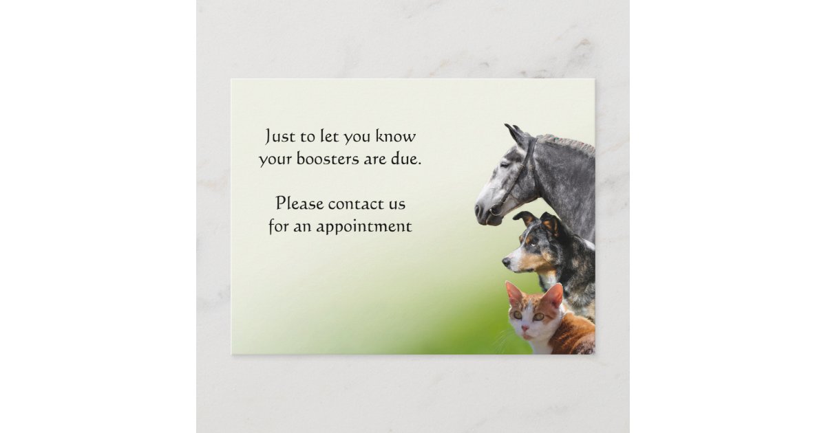 Pet vaccination booster reminder postcard Zazzle