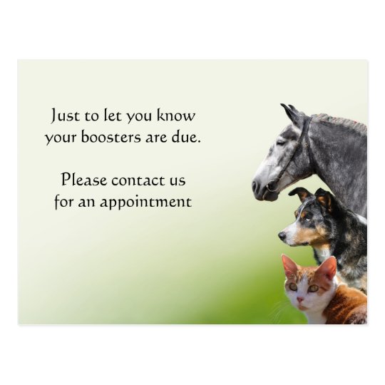 Pet vaccination booster reminder postcard