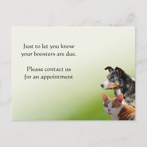 Pet vet vaccination reminder postcard