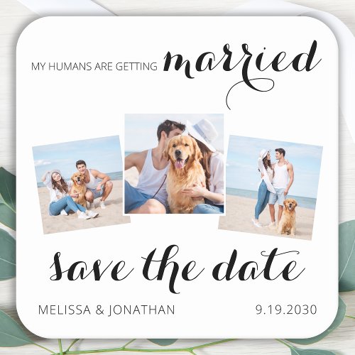 Pet Wedding 3 Photo Collage Dog Save The Date Square Paper Coaster