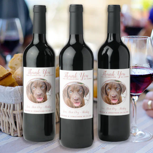 Pet Wedding Modern Rose Gold Dog Photo Thank You Wine Label | Zazzle