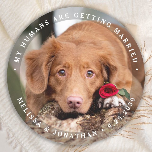 Pet Wedding Personalized Dog Photo Engagement  Classic Round Sticker (Creator Uploaded)