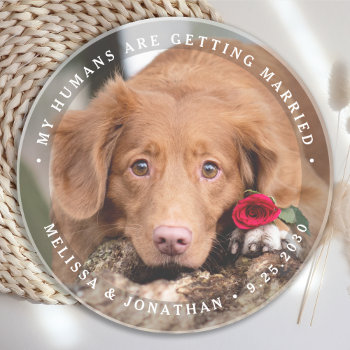 Pet Wedding Personalized Dog Photo Engagement Coaster by BlackDogArtJudy at Zazzle