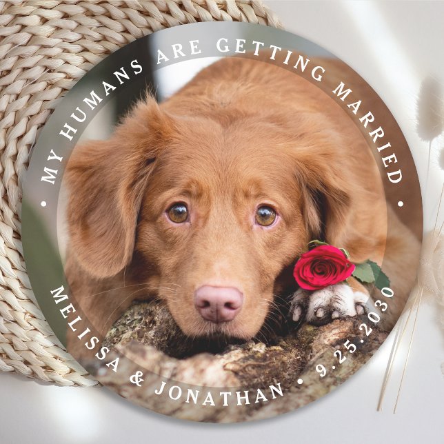 Pet Wedding Personalized Dog Photo Engagement Round Paper Coaster (Creator Uploaded)