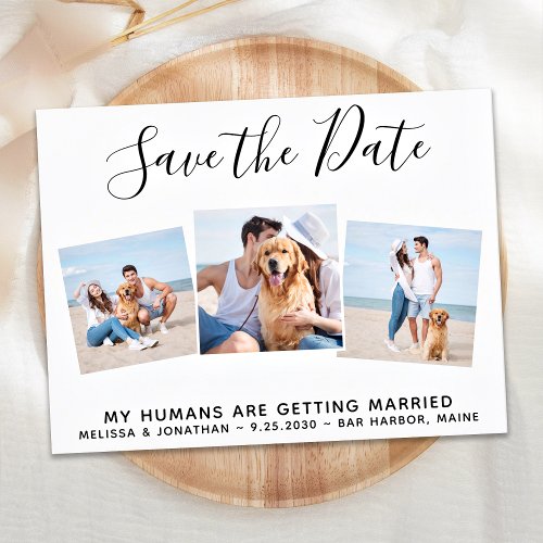 Pet Wedding Photo Collage Dog Save The Date Announcement Postcard