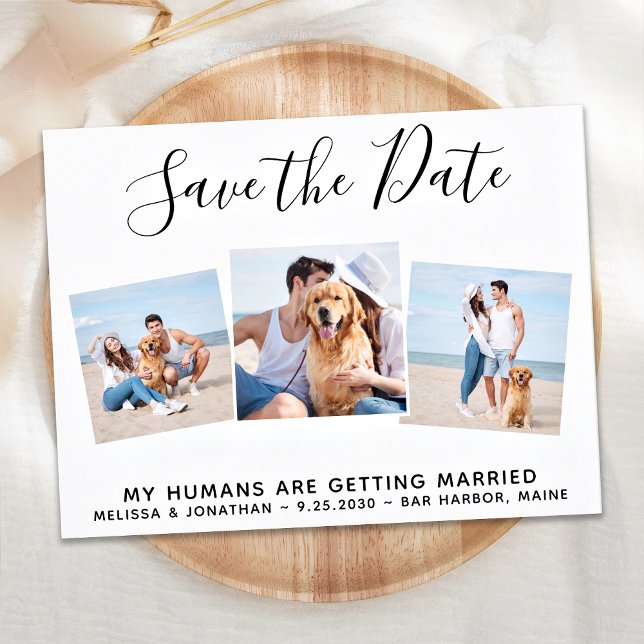 Pet Wedding Photo Collage Dog Save The Date Announcement Postcard (Creator Uploaded)