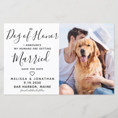 Pet Wedding Photo Dog Save The Date Cards Budget